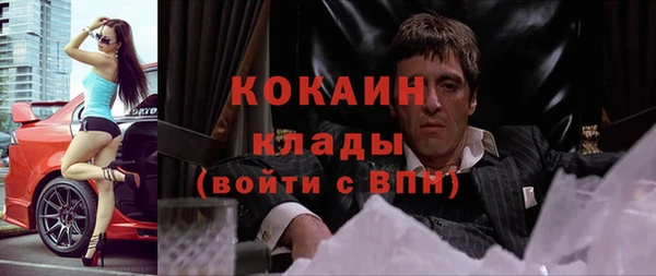 крисы Лагань