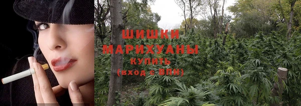 гидропоника Лабытнанги
