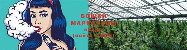 крисы Лагань