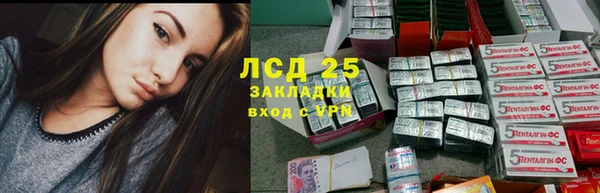 крисы Лагань