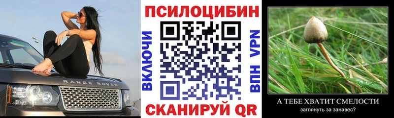 Псилоцибиновые грибы мухоморы  Купить закладки  Полярный 